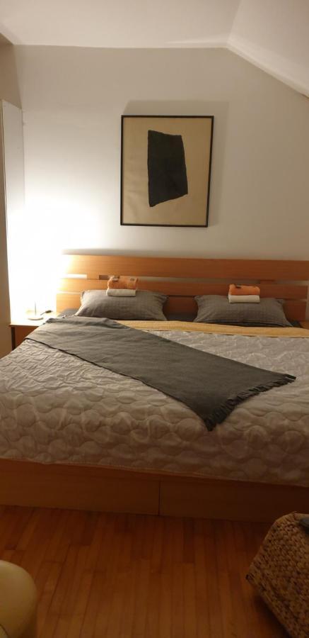 Apartments Bikica Vrnjačka Banja المظهر الخارجي الصورة