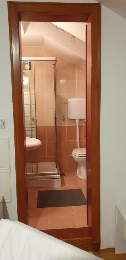 Apartments Bikica Vrnjačka Banja المظهر الخارجي الصورة