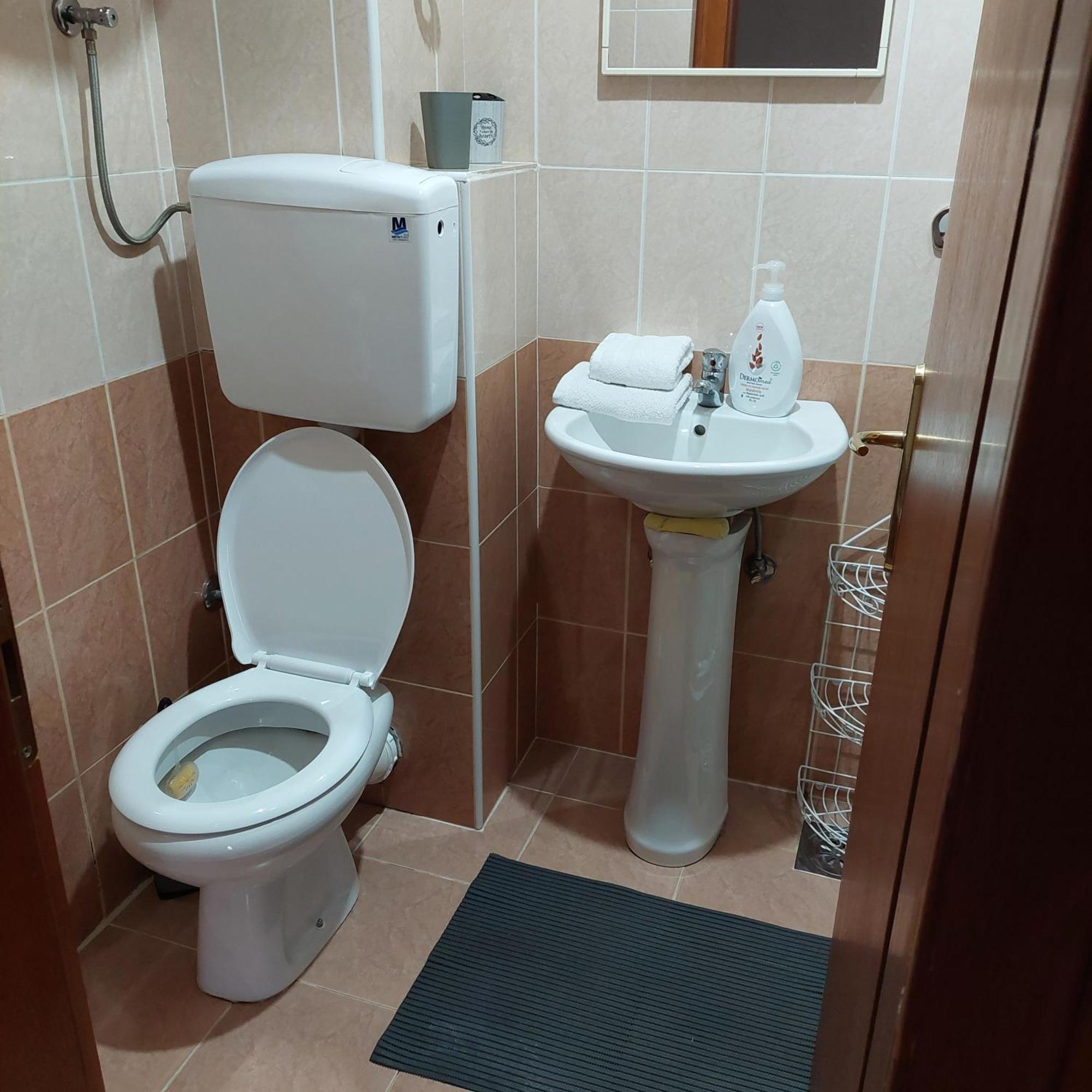 Apartments Bikica Vrnjačka Banja المظهر الخارجي الصورة